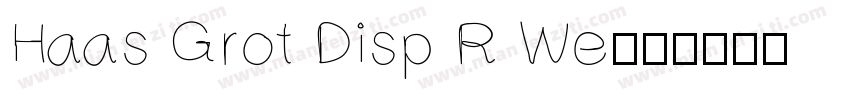 Haas Grot Disp R We字体转换